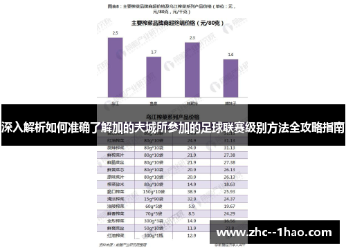 深入解析如何准确了解加的夫城所参加的足球联赛级别方法全攻略指南