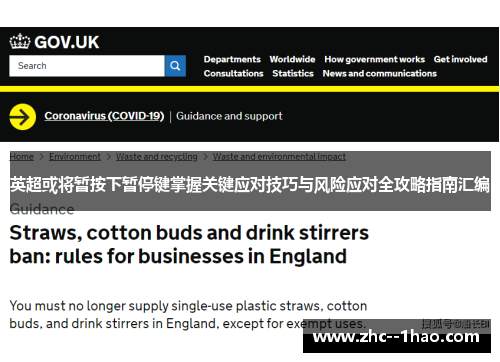 英超或将暂按下暂停键掌握关键应对技巧与风险应对全攻略指南汇编