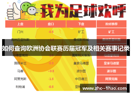 如何查询欧洲协会联赛历届冠军及相关赛事记录