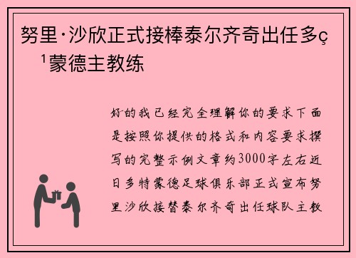 努里·沙欣正式接棒泰尔齐奇出任多特蒙德主教练