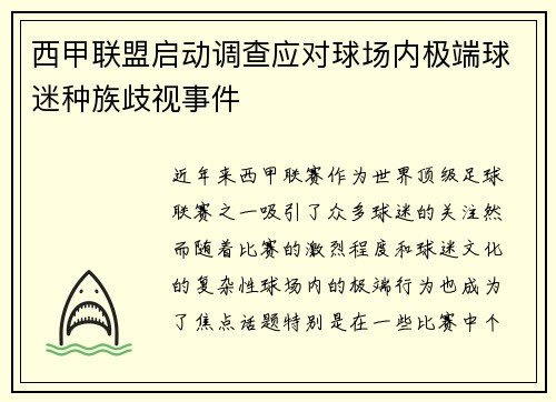 西甲联盟启动调查应对球场内极端球迷种族歧视事件